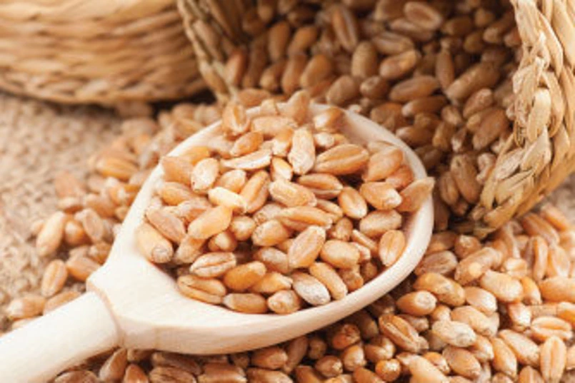 spelt